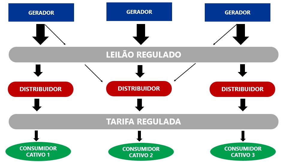 MERCADO REGULADO