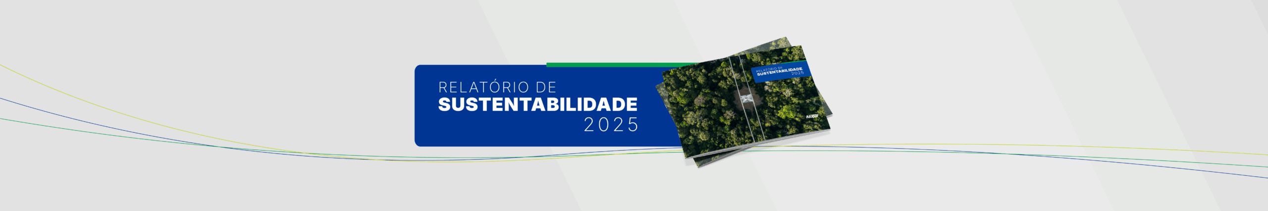 Relatório de Sustentabilidade 2025