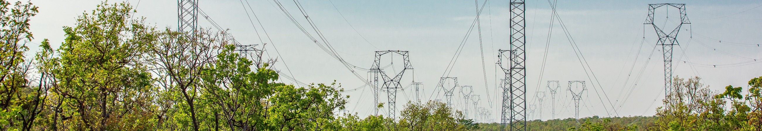Estratégia de crescimento em projetos Greenfield