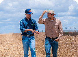 Governança Corporativa